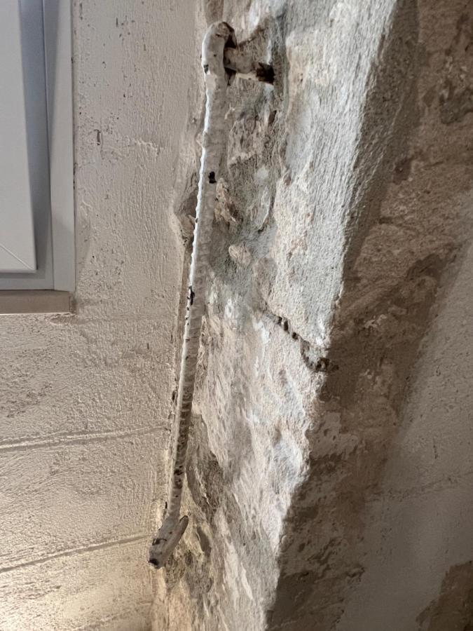 ויאסטה Maison Carolina מראה חיצוני תמונה